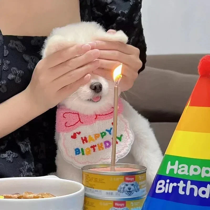 Pet Birthday Hat & Bib