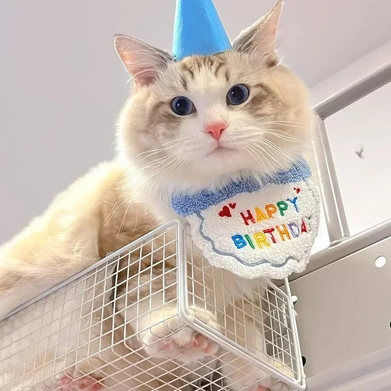 Pet Birthday Hat & Bib