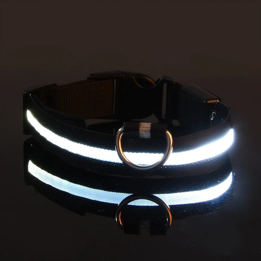 LED Nylon Dog Leash & Collar