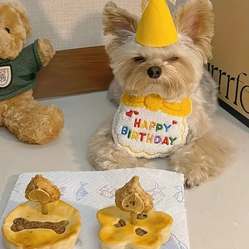 Pet Birthday Hat & Bib