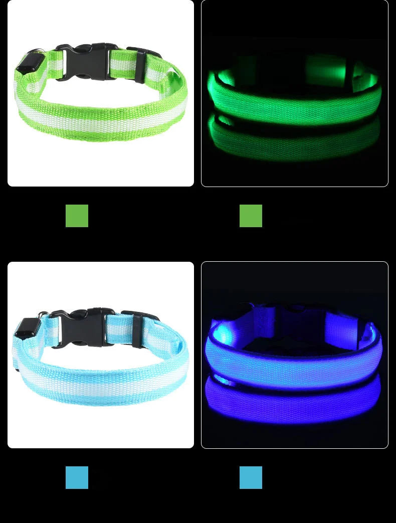 LED Nylon Dog Leash & Collar