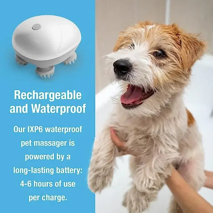 Electric Pet Massager