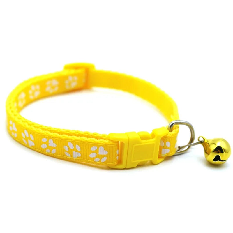 Colorful Lace Kitten Collar