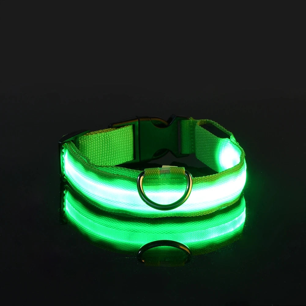 LED Nylon Dog Leash & Collar
