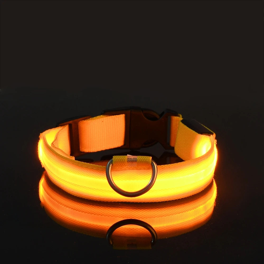 LED Nylon Dog Leash & Collar
