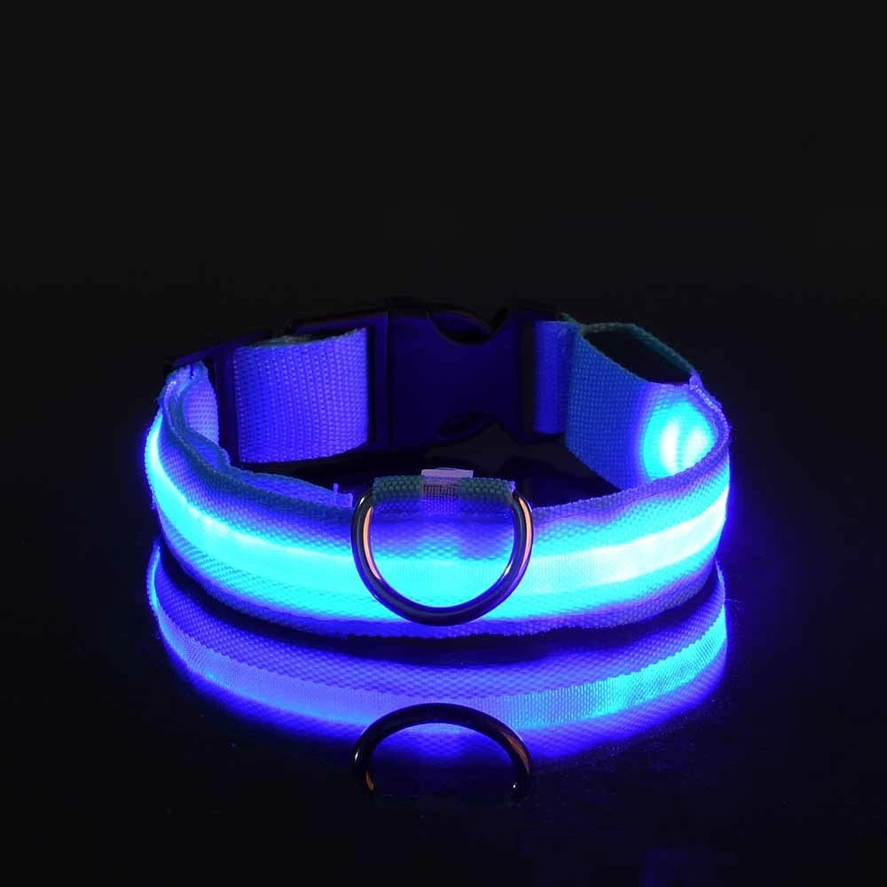 LED Nylon Dog Leash & Collar