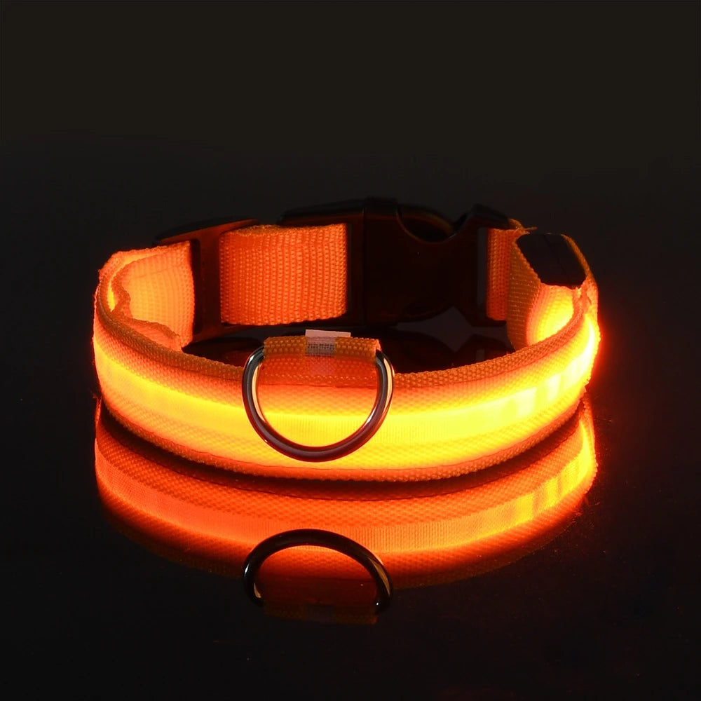LED Nylon Dog Leash & Collar