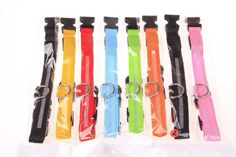 LED Nylon Dog Leash & Collar