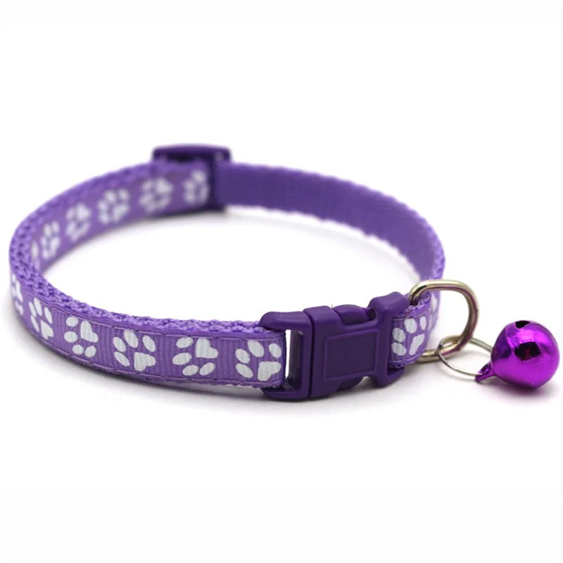 Colorful Lace Kitten Collar