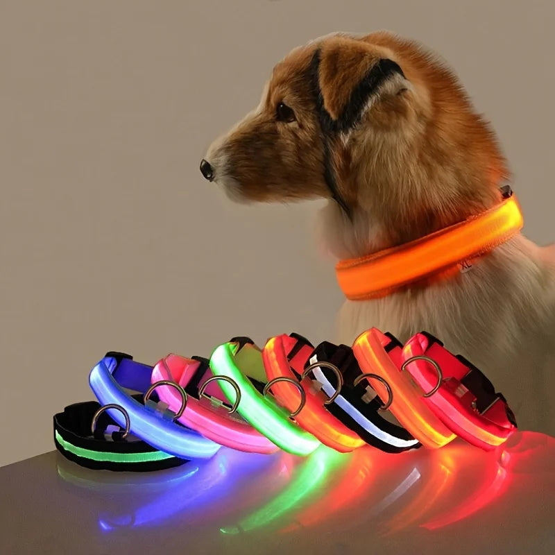 LED Nylon Dog Leash & Collar