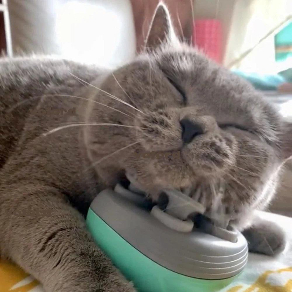 Electric Pet Massager