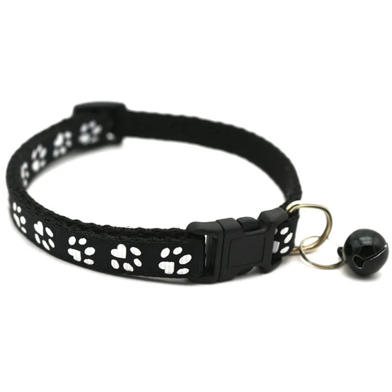 Colorful Lace Kitten Collar