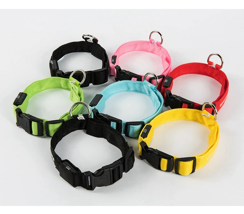 LED Nylon Dog Leash & Collar