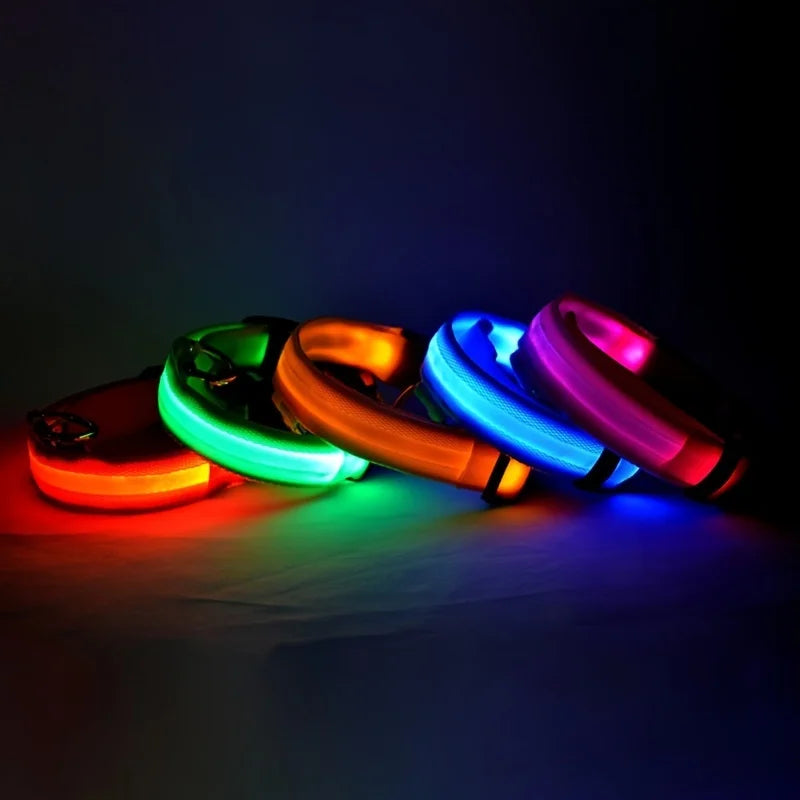 LED Nylon Dog Leash & Collar