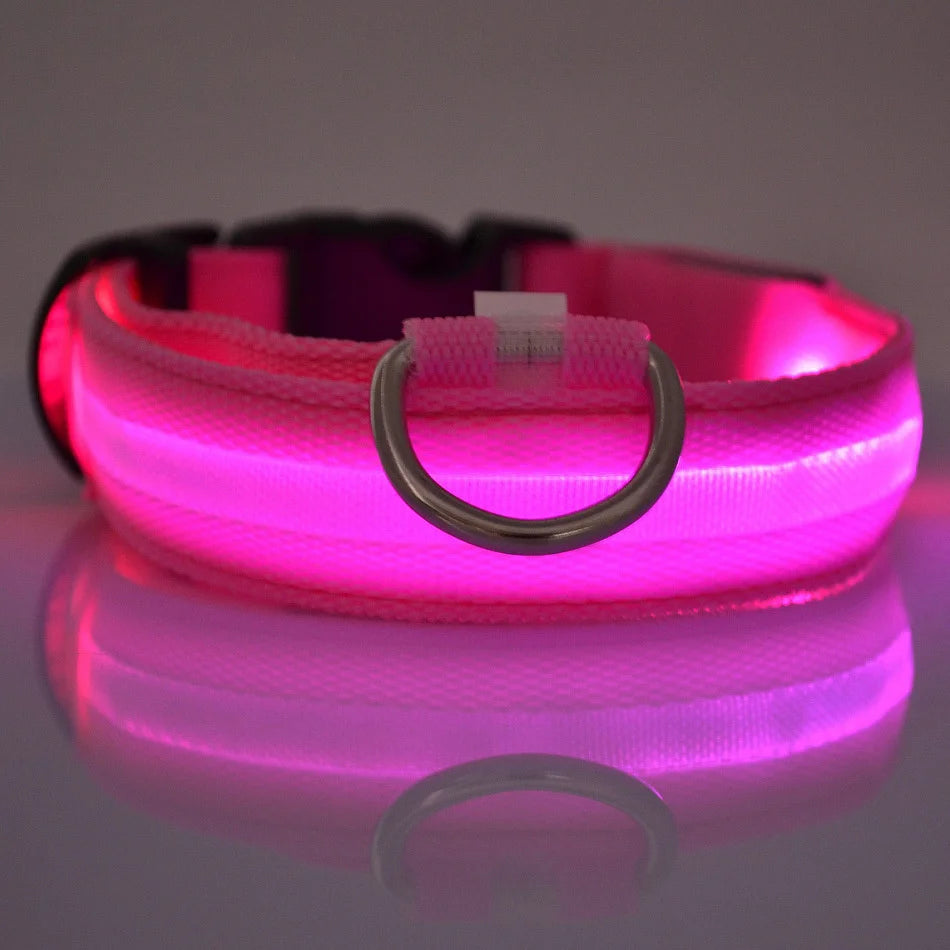 LED Nylon Dog Leash & Collar