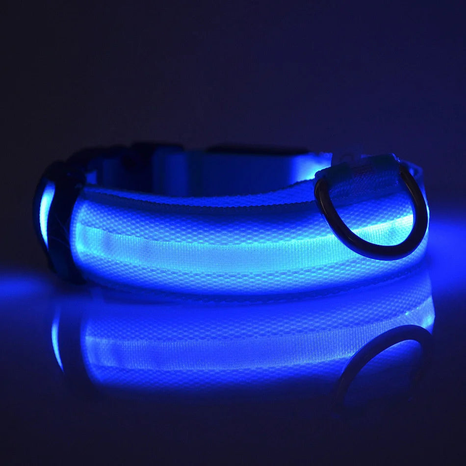 LED Nylon Dog Leash & Collar