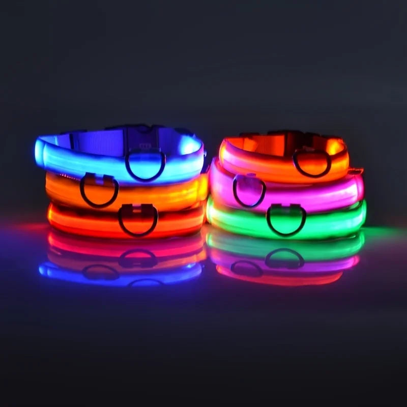 LED Nylon Dog Leash & Collar