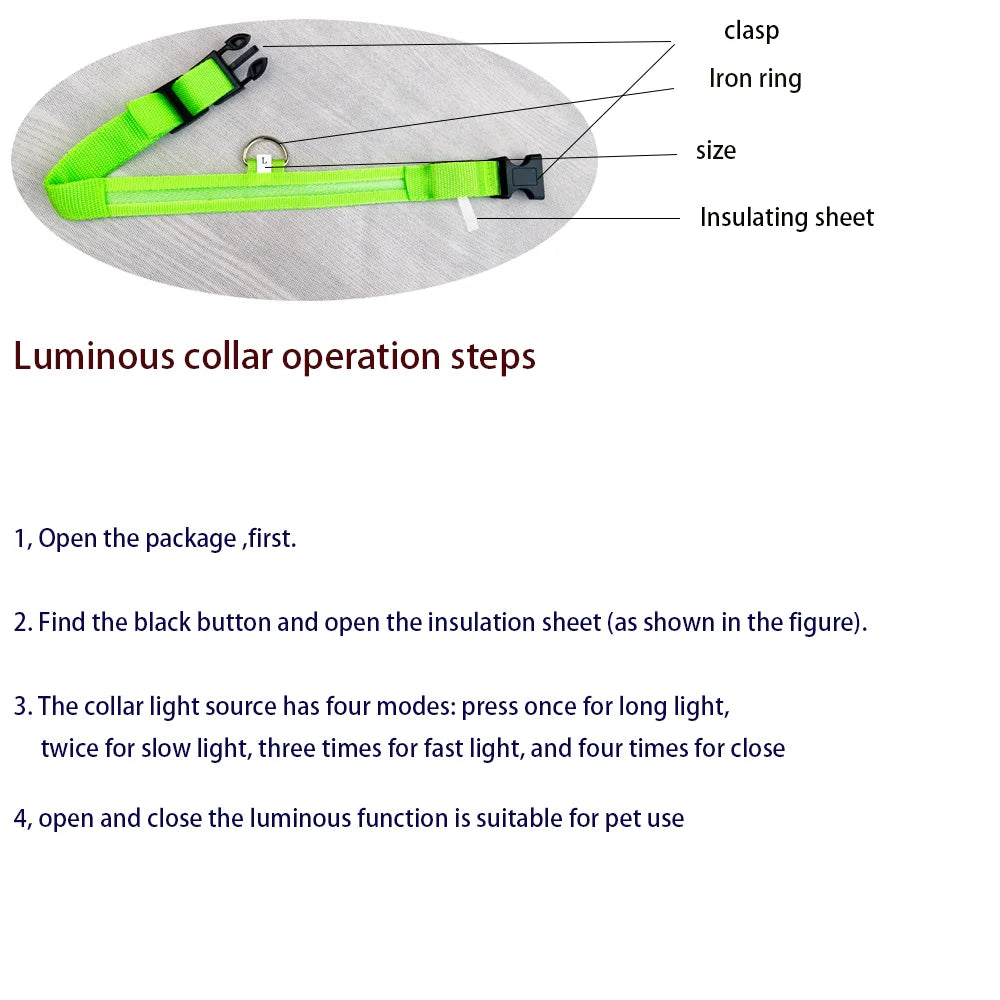 LED Nylon Dog Leash & Collar