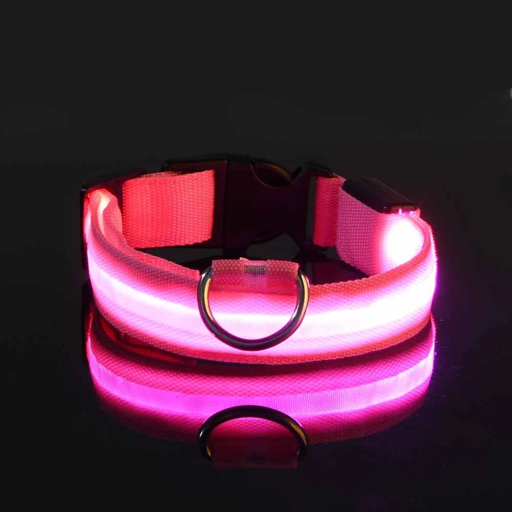 LED Nylon Dog Leash & Collar