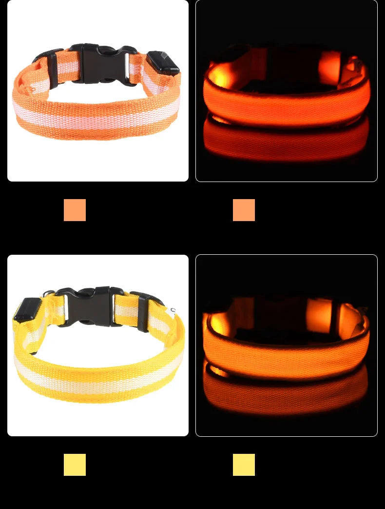 LED Nylon Dog Leash & Collar