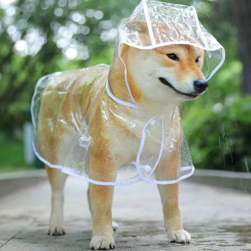 Puppy Rain Poncho
