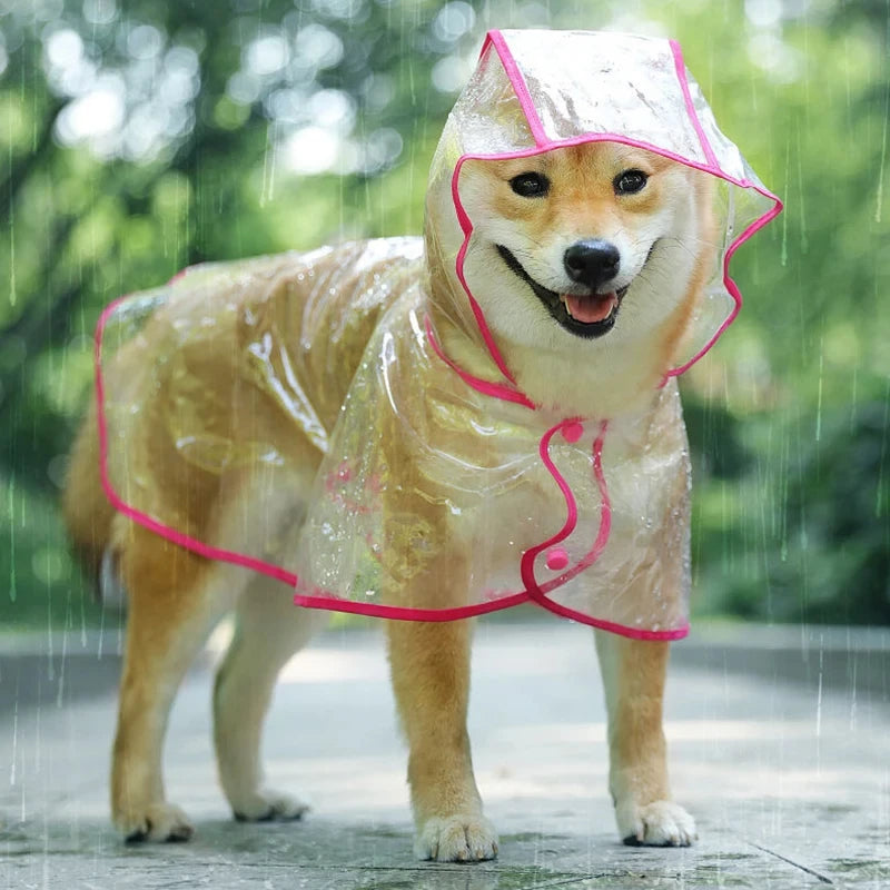 Puppy Rain Poncho