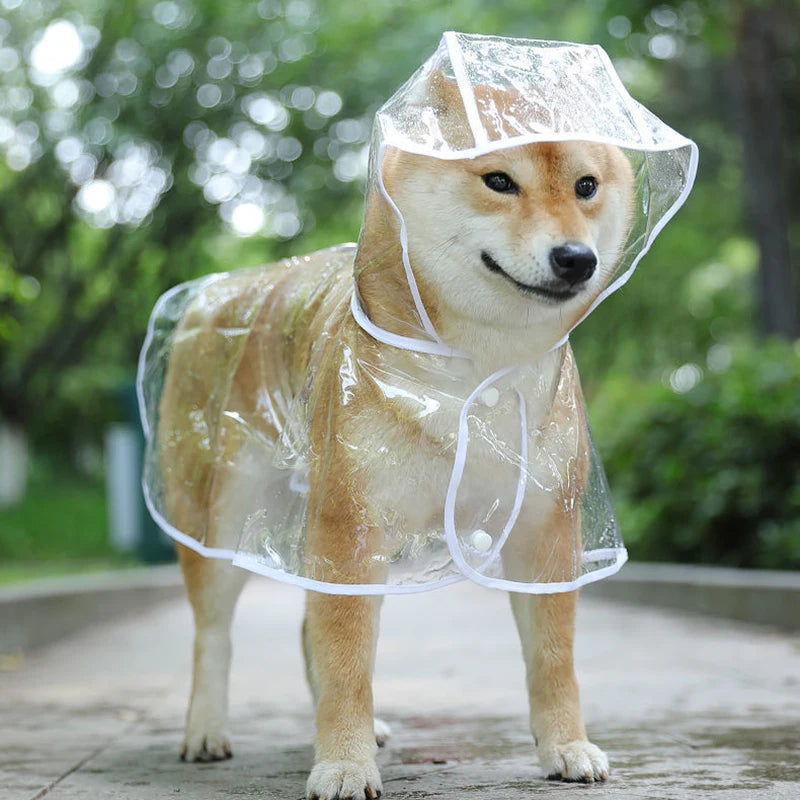 Puppy Rain Poncho