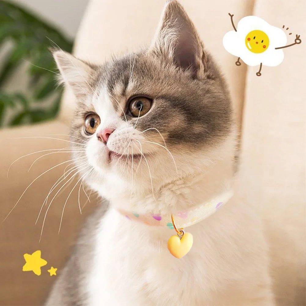 Fashion Pet Collar