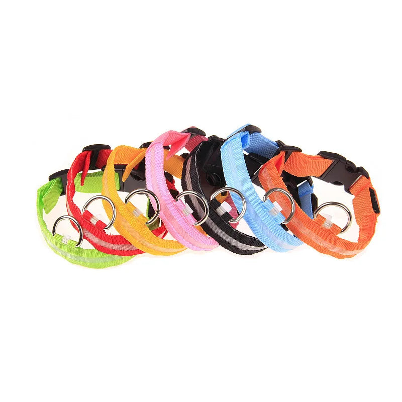 LED Nylon Dog Leash & Collar