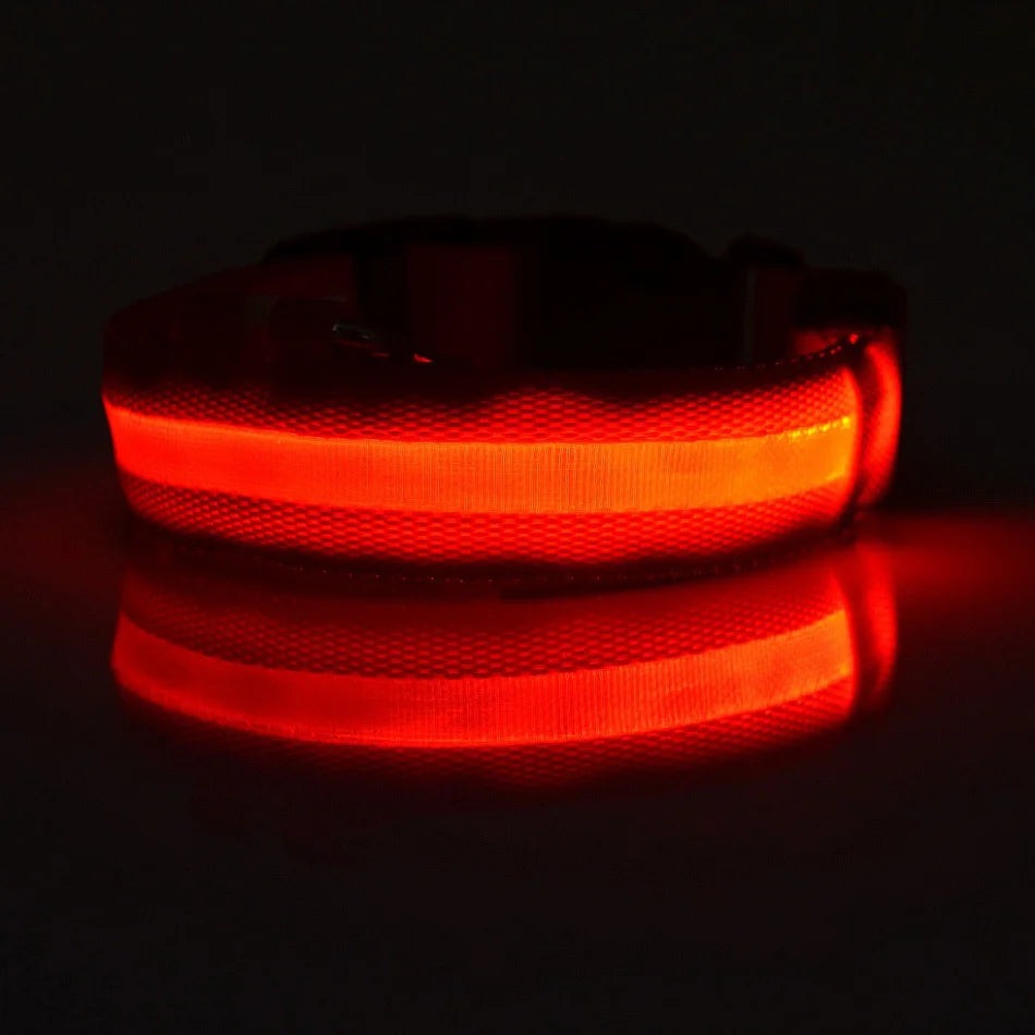 LED Nylon Dog Leash & Collar