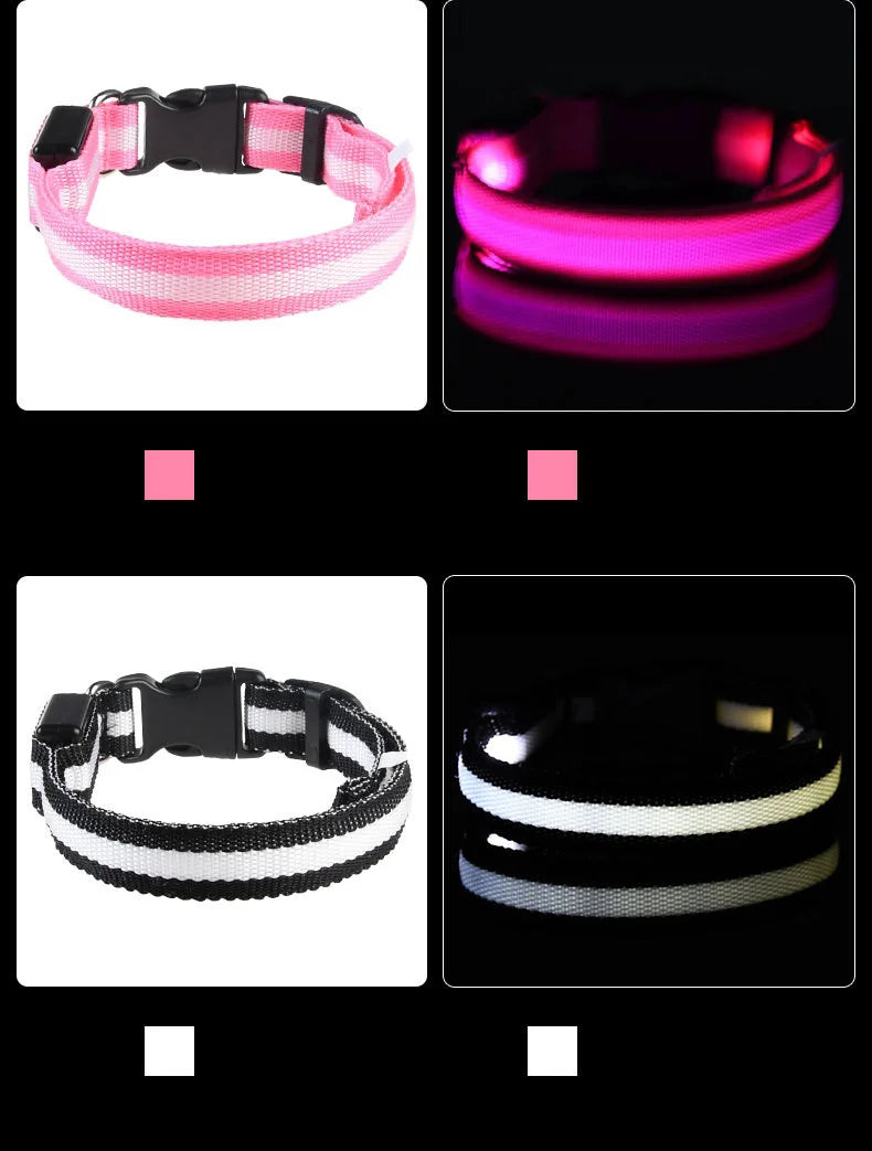 LED Nylon Dog Leash & Collar