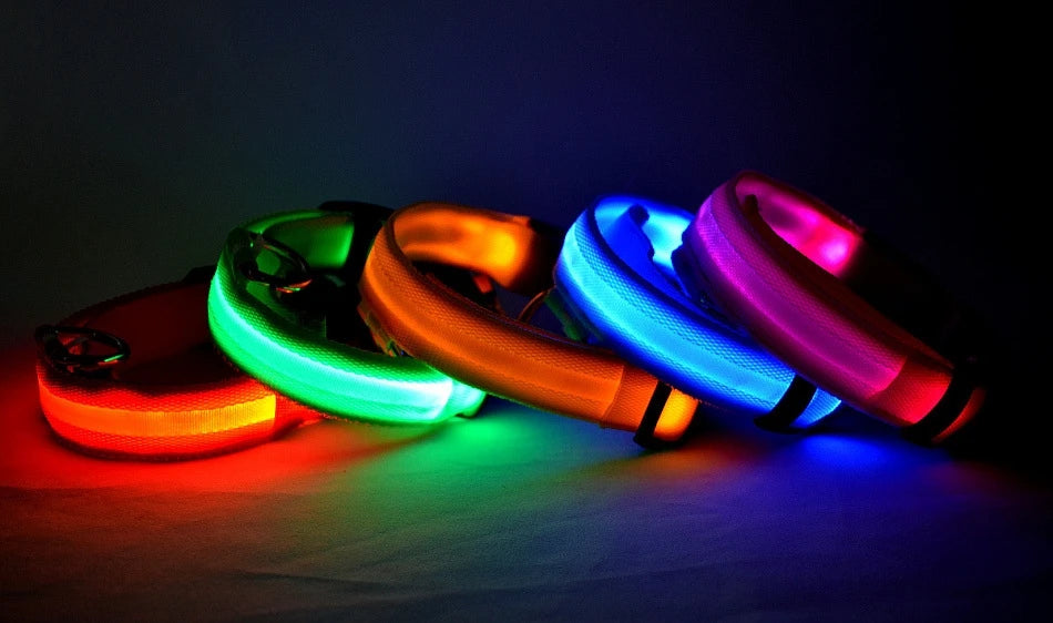 LED Nylon Dog Leash & Collar