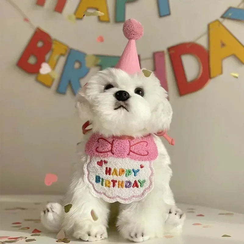Pet Birthday Hat & Bib