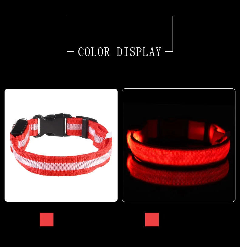 LED Nylon Dog Leash & Collar