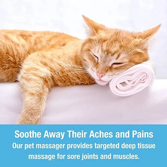 Electric Pet Massager