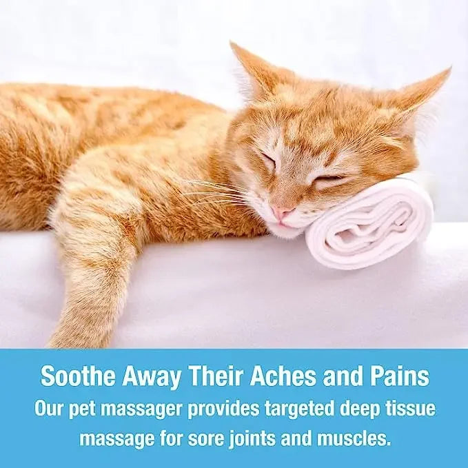 Electric Pet Massager