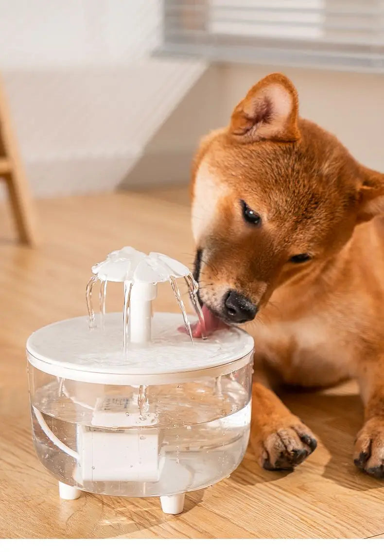 1L Pet Water Fountain