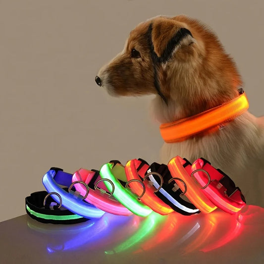 LED Nylon Dog Leash & Collar