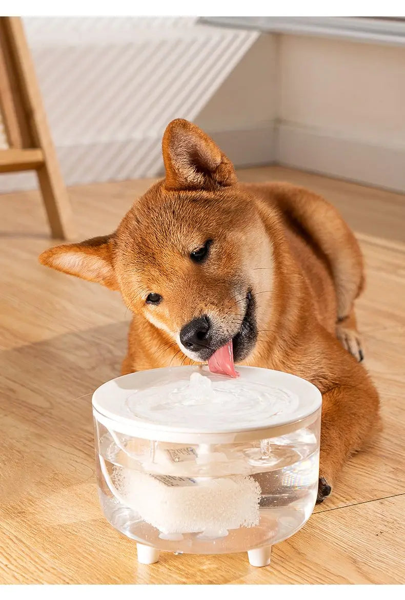 1L Pet Water Fountain