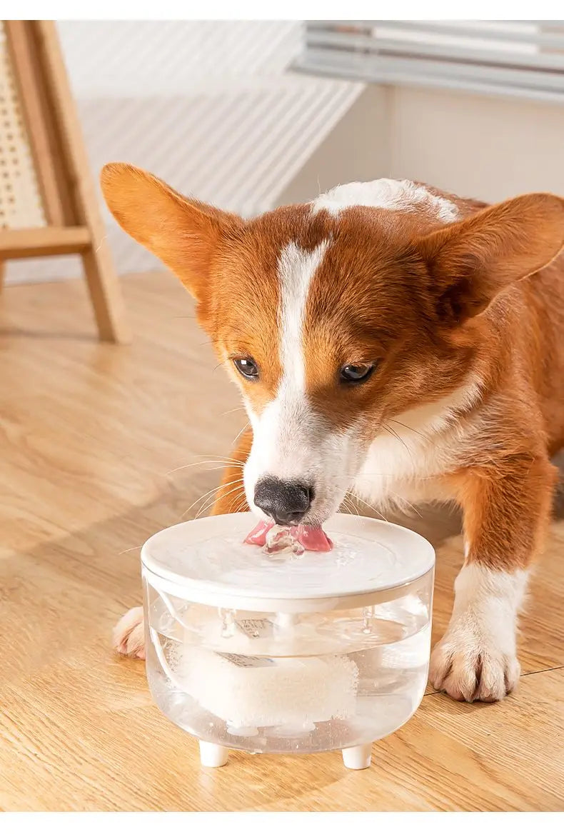 1L Pet Water Fountain