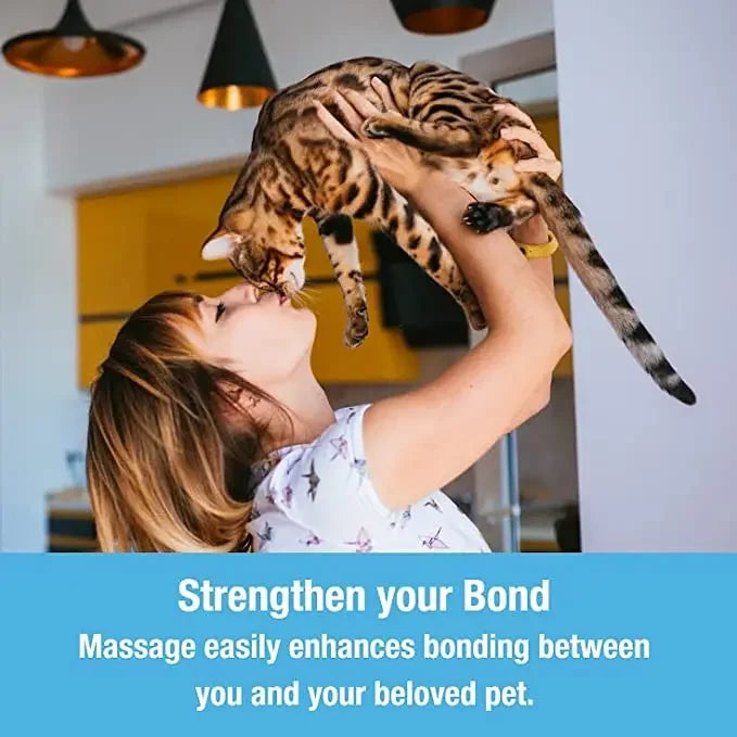 Electric Pet Massager