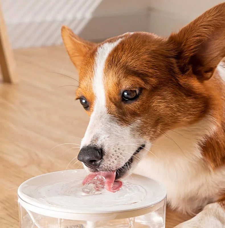 1L Pet Water Fountain